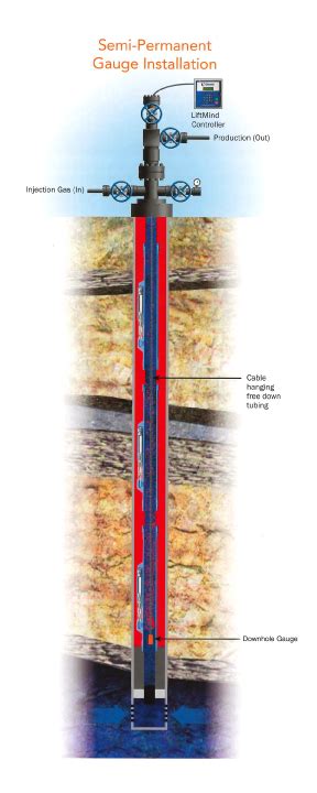 wellwatcher flux|Permanent Downhole Measurement Systems .
